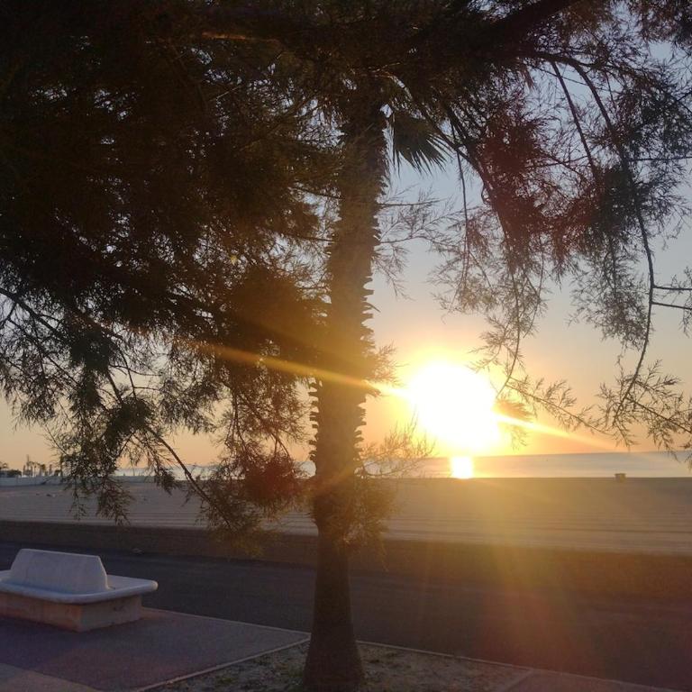 Le Rêve Méditérannéen, vue sur la mer et piscine - Apartamento de 2 dormitorios - 10