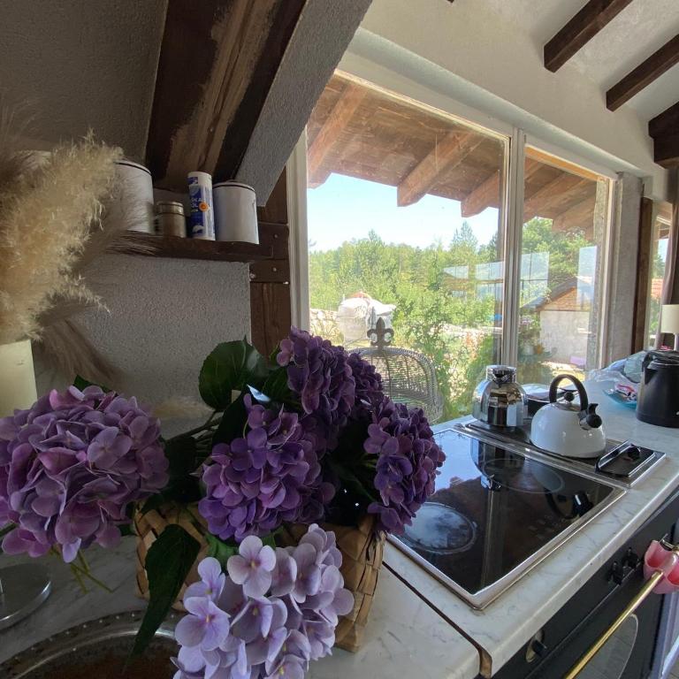 Kuća sa bazenom Sarajevo - Lavanda Estate - Vila sa 2 Spavaće Sobe - 17