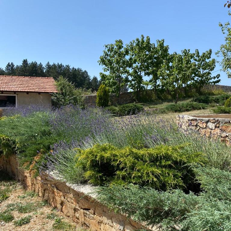 Kuća sa bazenom Sarajevo - Lavanda Estate - Vila sa 2 Spavaće Sobe - 22