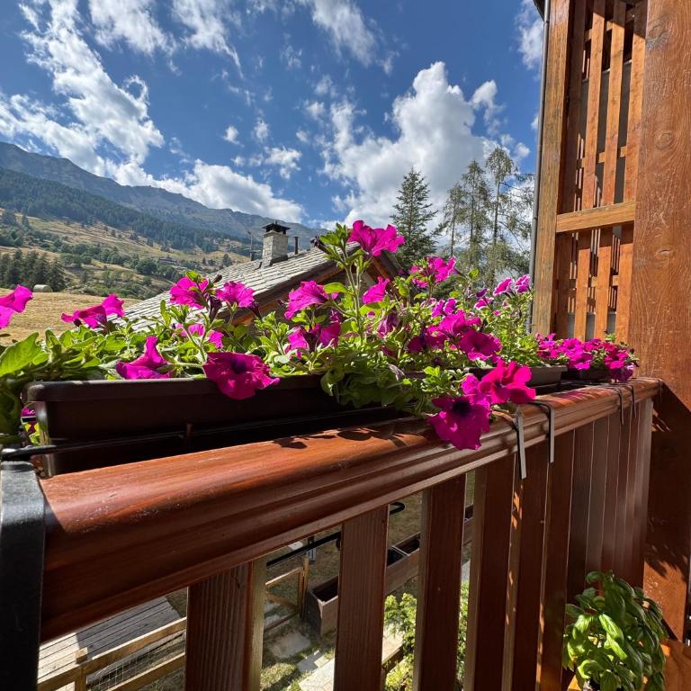 Grande Maison Du Coeur Champoluc Spa,Gym e Aree Relax - Two-Bedroom Apartment - 13