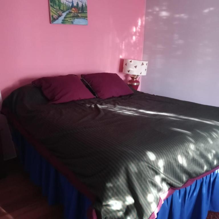Cabaña pupuya - One-Bedroom House - 1