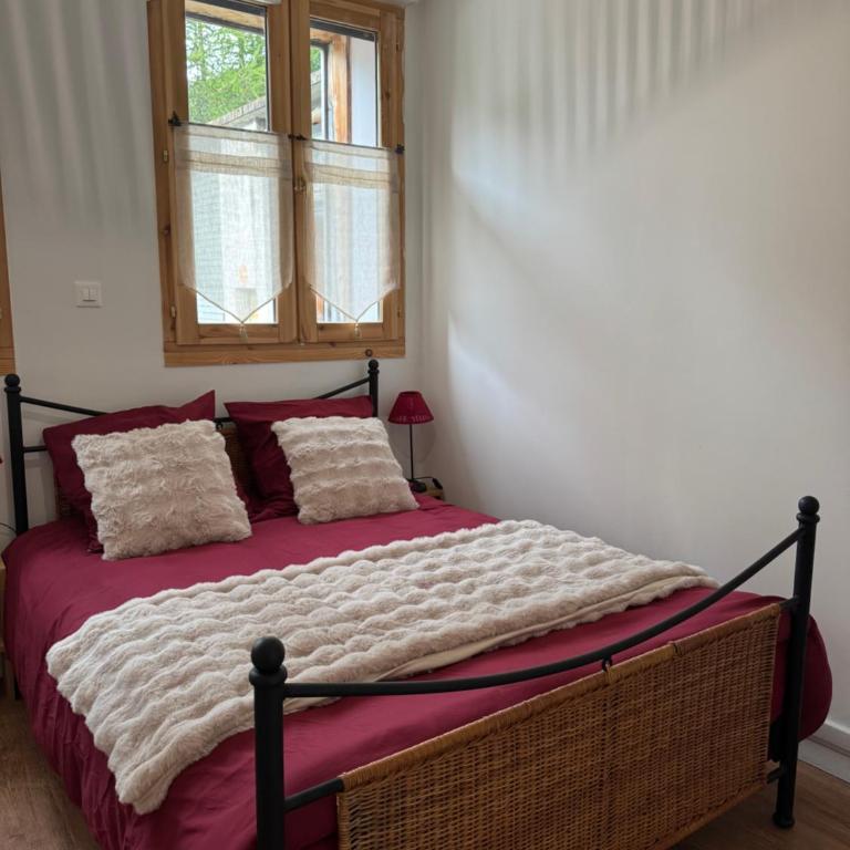 L'Etoile des 2 Villages - Résidence le JANREMON - Rez-de-chaussée - Accès skis aux pieds - Apartamento - Planta baja - 8