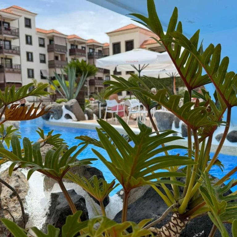 Verano Eterno Balcon del Mar by Deihu Experiences - Apartamento de 1 dormitorio con vistas a la piscina - 39