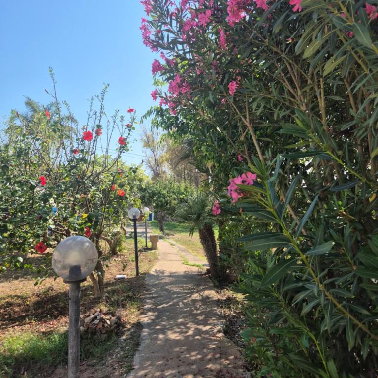 Villa Margherita - Villa - 57