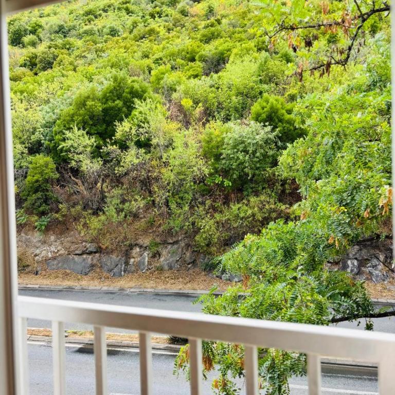 Apartment Oak Corner - Apartman sa 1 Spavaćom Sobom - 16