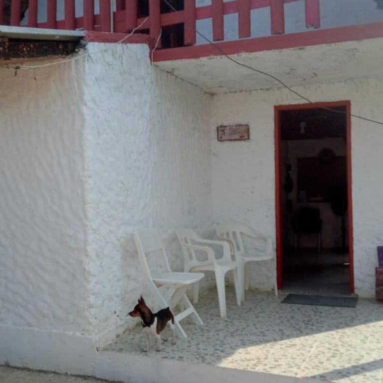 Refugio olgamar, Cabaña con kiosco cerca al mar - Casa - 3
