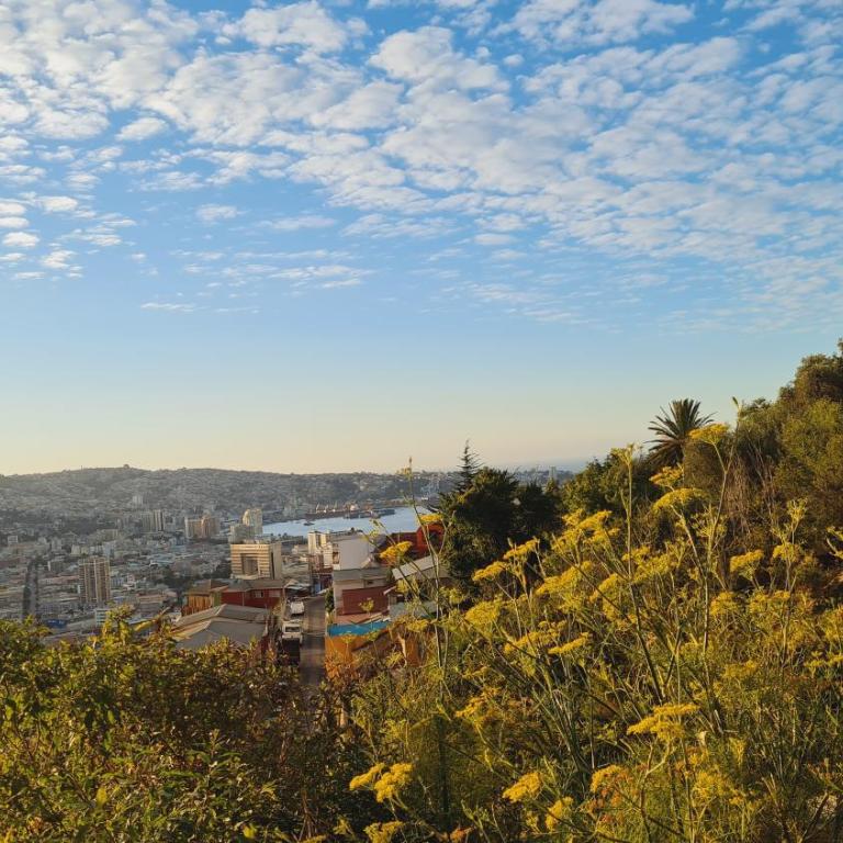 Ocean View & Pool Family Apartment 2P - Apartamento Premium con 1 dormitorio y vistas al mar - 51