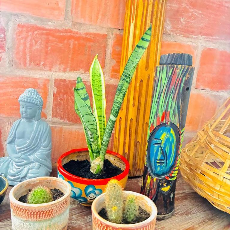 Casa Vintage Ctg - Apartamento de 1 dormitorio - 2