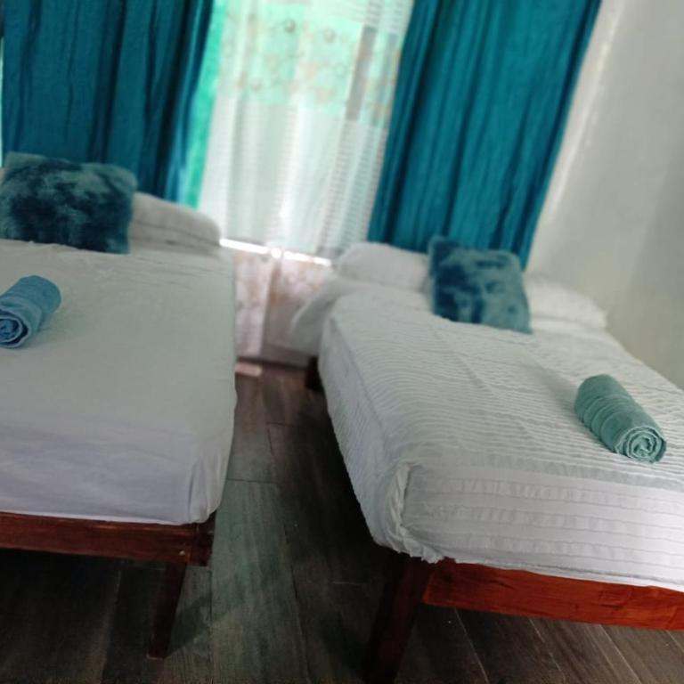 Kasa Alebrije Bacalar cocina comun 01 - Apartamento de 1 dormitorio - 9