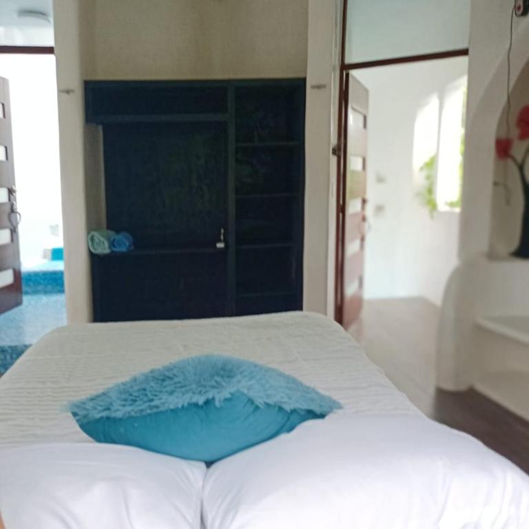Kasa Alebrije Bacalar cocina comun 01 - Apartamento de 1 dormitorio - 9