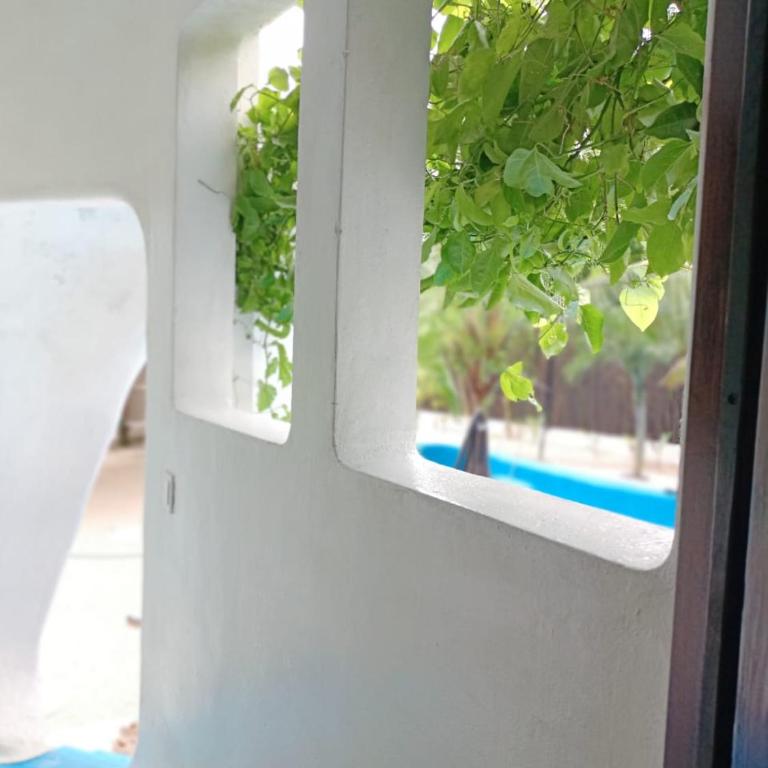 Kasa Alebrije Bacalar cocina comun 01 - Apartamento de 1 dormitorio - 3