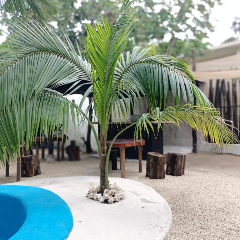 Kasa Alebrije Bacalar cocina comun 01 - Apartamento de 1 dormitorio - 3