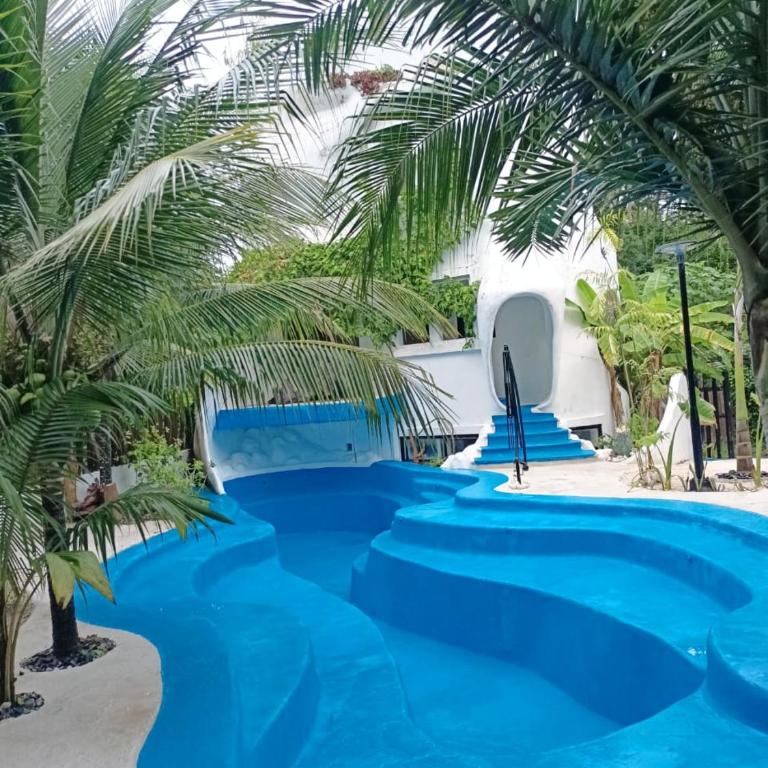 Kasa Alebrije Bacalar cocina comun 01 - Apartamento de 1 dormitorio - 2