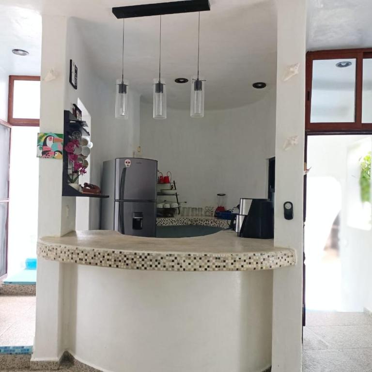 Kasa Alebrije Bacalar cocina comun 01 - Apartamento de 1 dormitorio - 5