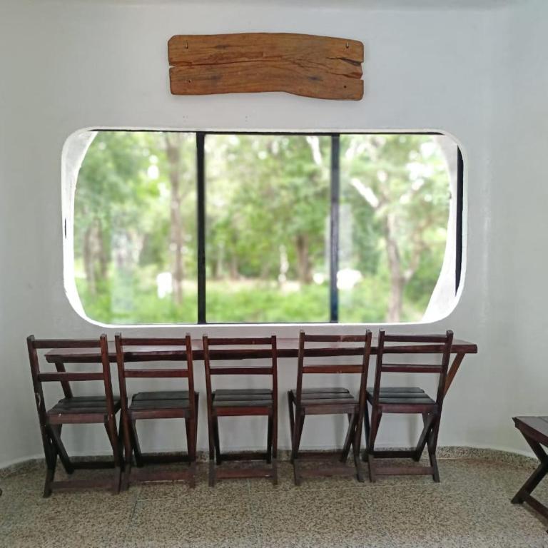 Kasa Alebrije Bacalar cocina comun 01 - Apartamento de 1 dormitorio - 5
