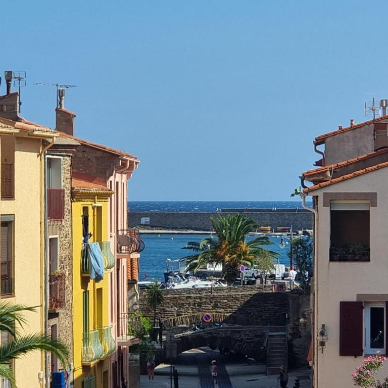 Collioure - Studio lumineux 2 pers. à 5 min de la plage - FR-1-309-539 - Monolocale - 1