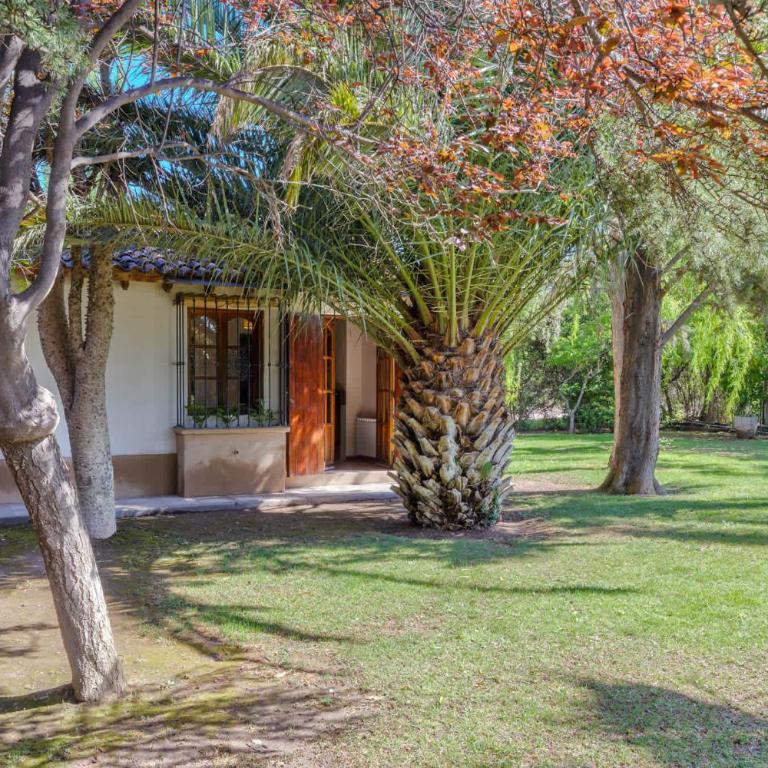 MOT Alzaga 5100 - 4 Bd House Pool BBQ Daily Housekeeping! - Vacation Home - 5