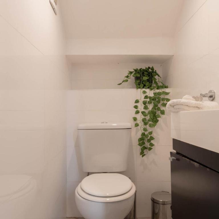 MOT Villa Thames 2000 - Lux House Palermo Soho - Casa - 36