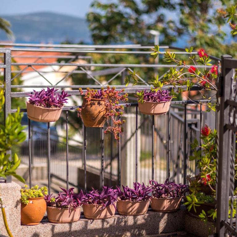 Durakovic Apartments - Studio with Garden View - 5