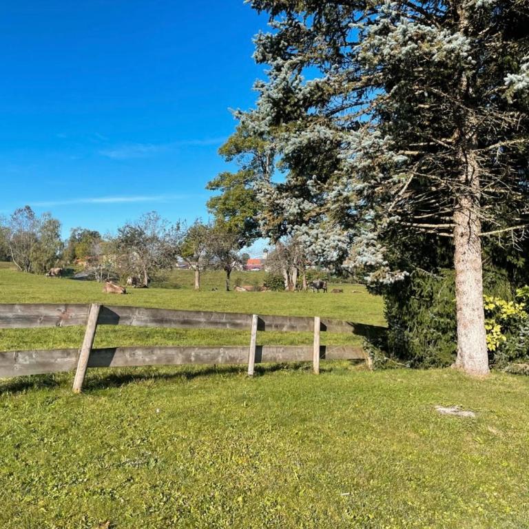 Allgäuer Chalet - Apartment mit 1 Schlafzimmer - 13