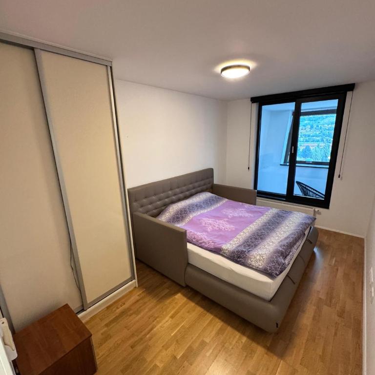 Luxury Apartment Sarajevo-Bristol - Deluks Apartman sa 2 Spavaće Sobe i Balkonom - 17