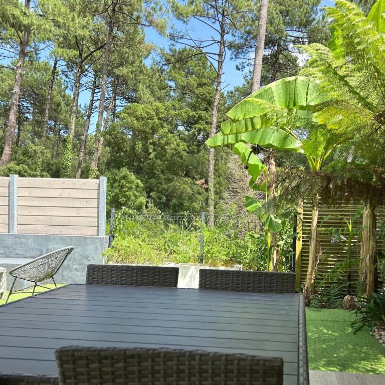 Villa patio terrasse privative océan 10 min a pied - One-Bedroom House - 17