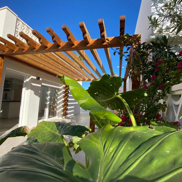 Casita del Toro - Villa de 1 dormitorio - 4