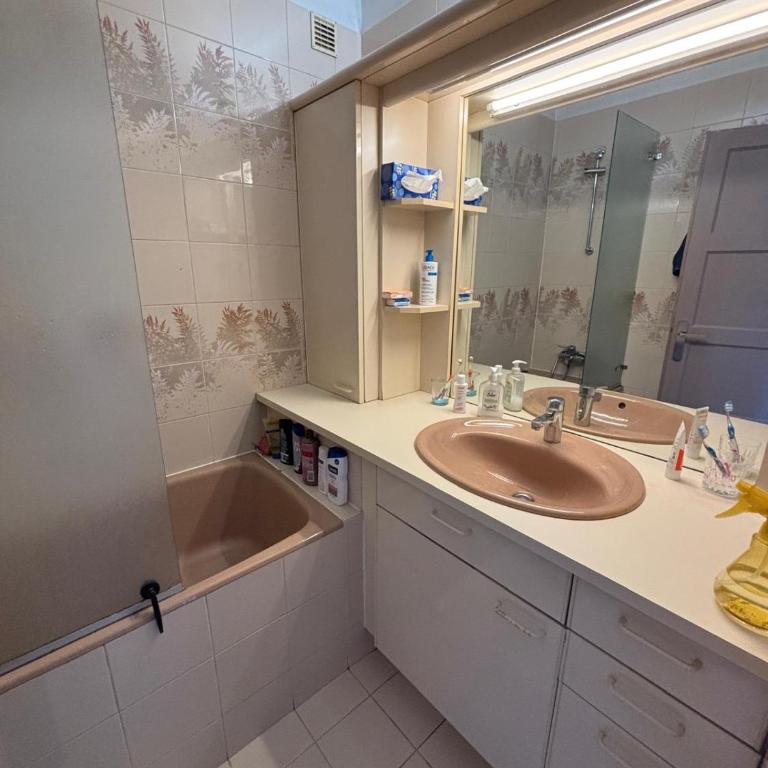 La Plaine - beau 4 pièces - Appartamento con 2 Camere da Letto - 11