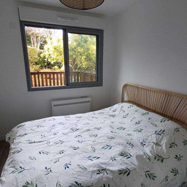 Charming quiet flat in Arcachon - Appartement - 5