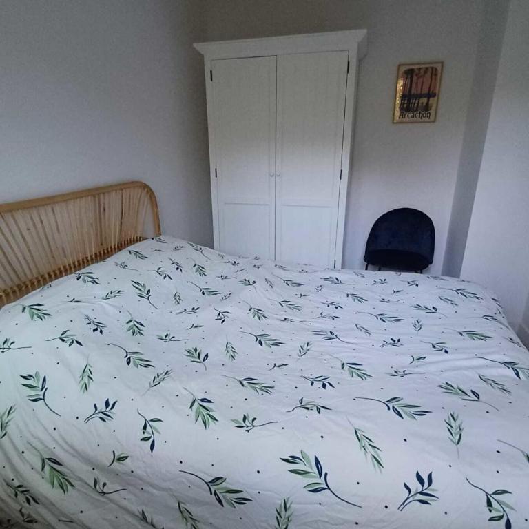 Charming quiet flat in Arcachon - Appartement - 6