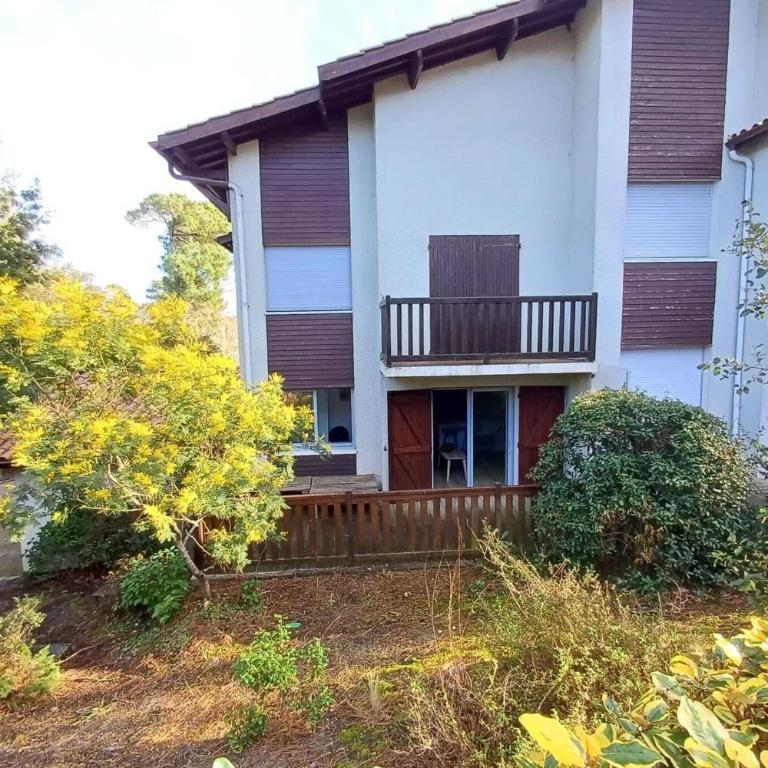 Charming quiet flat in Arcachon - Appartement - 12