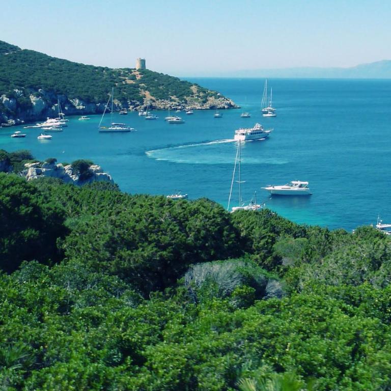 Capo Caccia Home Holidays - Appartamento con 3 Camere da Letto e Vista Mare - 45