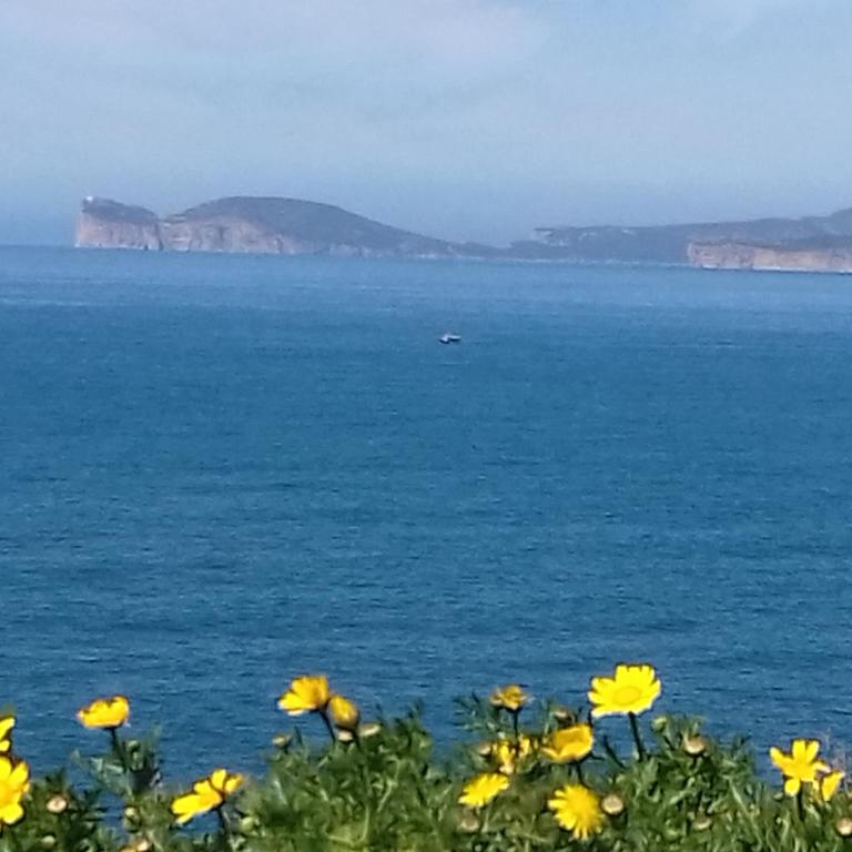 Capo Caccia Home Holidays - Appartamento con 3 Camere da Letto e Vista Mare - 44