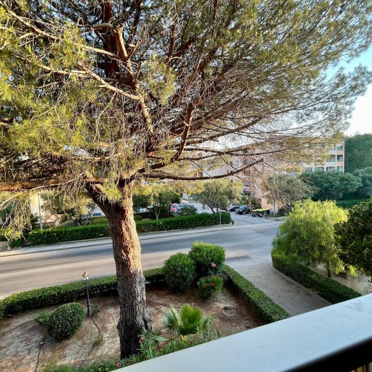 Le Cosy Pin Rolland - Apartamento de 2 dormitorios - 24