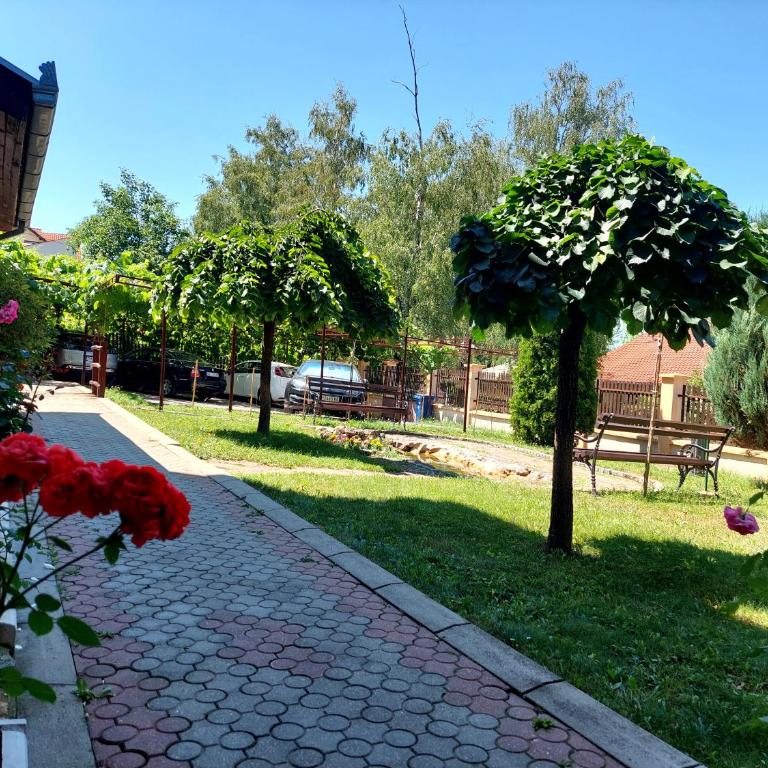 Vila Ramona Sokobanja - Apartman sa 1 Spavaćom Sobom - 2