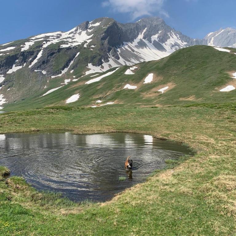 La casetta del cuore tra terme e montagna - Appartamento con 1 Camera da Letto - 17