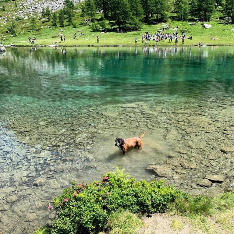 La casetta del cuore tra terme e montagna - Appartamento con 1 Camera da Letto - 21