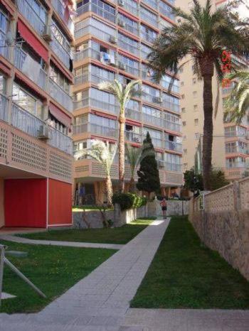 Carabelas Benidorm - Apartamento de 1 dormitorio - 10