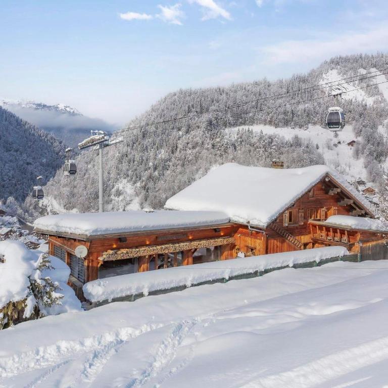 Chalet 5☆, 15 pers, spa, animaux admis, La Clusaz - FR-1-304-308 - Chalet - 15