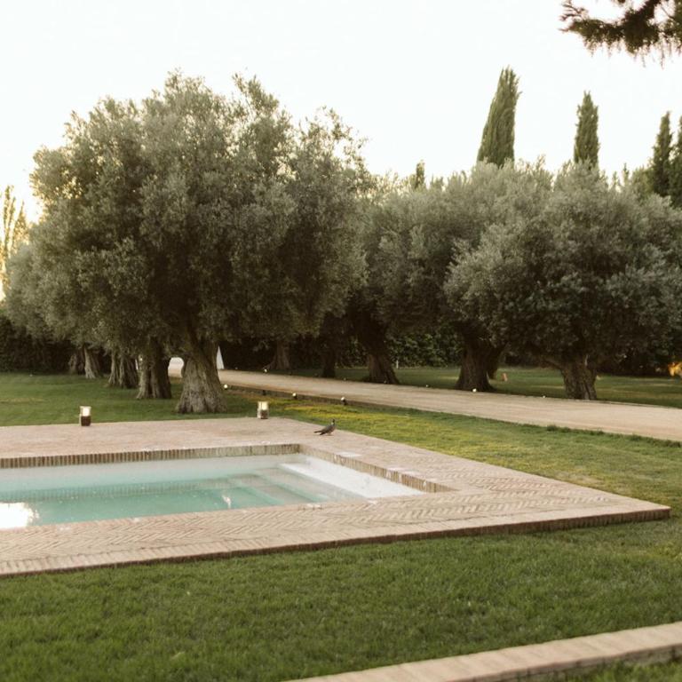 Cortijo de Enmedio - Villa - 2