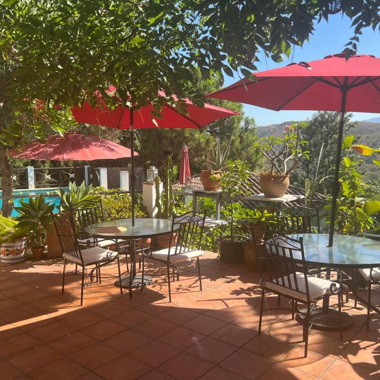 Casa Simba B&B - Dúplex - 4
