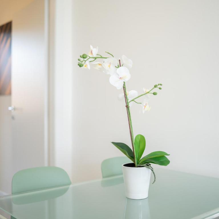 Green Certosa - Bright & Modern - 2 Steps from Train Station by InnStay - Appartement 1 Chambre - 18