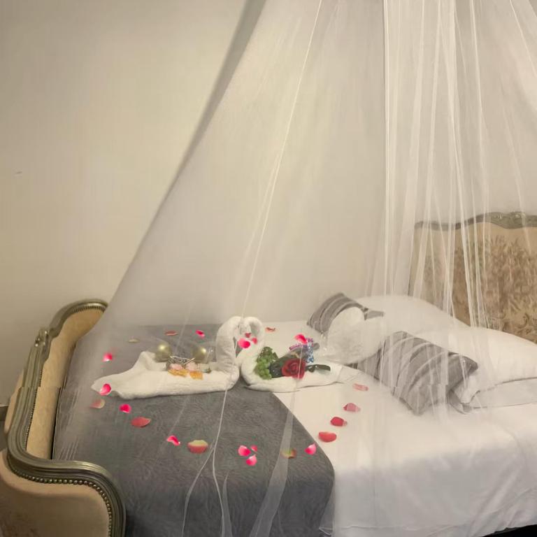 CARCASSONNE Studio avec Jacuzzi y piscina - Studio - Vue sur Piscine - 4