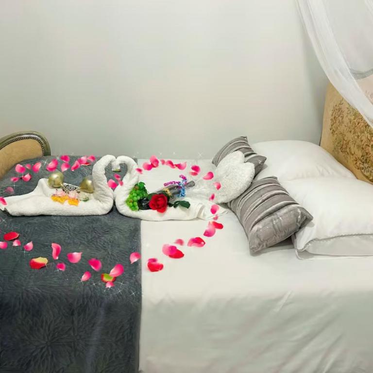 CARCASSONNE Studio avec Jacuzzi y piscina - Studio - Vue sur Piscine - 1