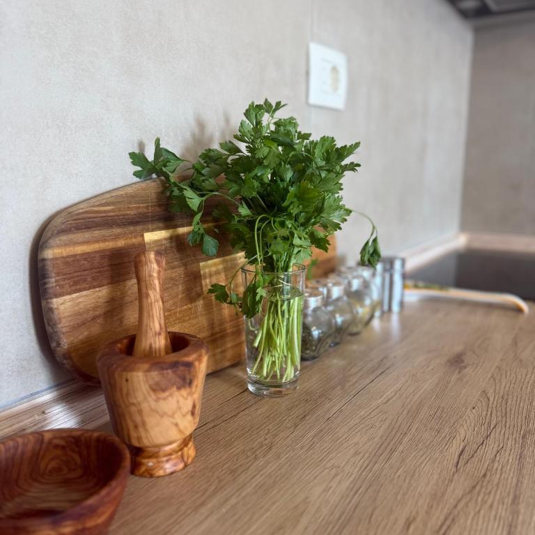 Sargo Apartman Bar - Apartman sa 1 Spavaćom Sobom - 28