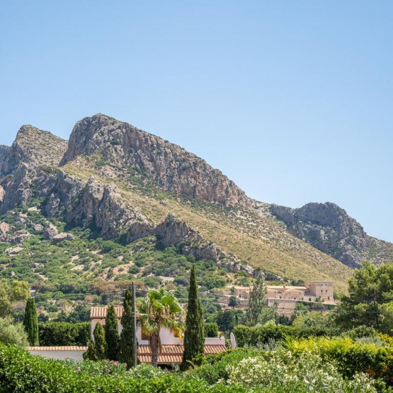 Ideal Property Mallorca - Ca na Tonina - Casa - 23