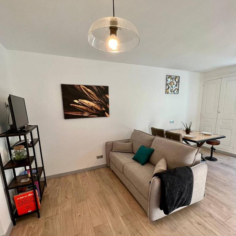 Le Dauphin, Proche gare, Wifi, Netflix - Appartement 1 Chambre - 4