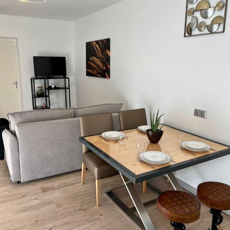 Le Dauphin, Proche gare, Wifi, Netflix - Appartement 1 Chambre - 6