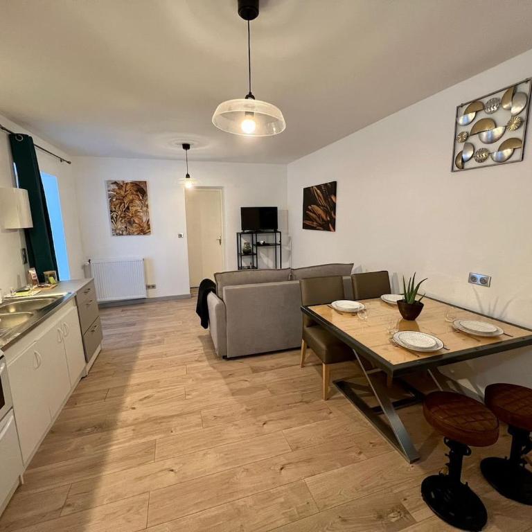 Le Dauphin, Proche gare, Wifi, Netflix - Appartement 1 Chambre - 1