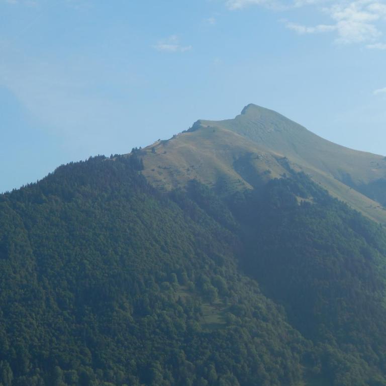Chalet LE VAL NESS - Chambre Double - Vue sur Montagne - 11